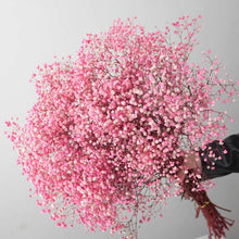 Load image into Gallery viewer, Natural Fresh Dried Preserved Flowers Gypsophila paniculata,Baby&#39;s Breath Flower bouquets gift for Wedding Decoration,Valentines
