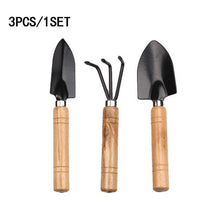 Load image into Gallery viewer, 3Pcs Mini Shovel Rake Set Shovel for Plants Bonsai Tools Garden Mini Hand Tools Miniature Planting Set Wooden Handle Spade Set
