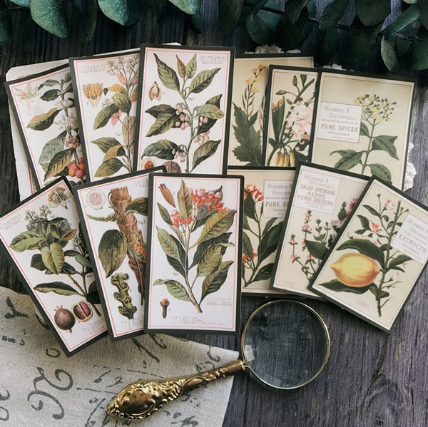 KSCRAFT 12pcs Vintage Plants English illustration Paper Stickers Scrapbooking/Card Making/Journaling Project DIY